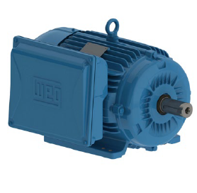 Motor Trifásico NEMA Hierro W22