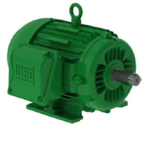 Motor Trifásico IE4 Hierro W22