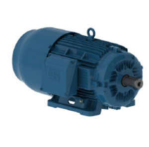 Motofreno IE3 - Hierro W22
