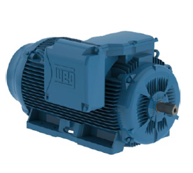 Motor Trifásico IE3 Hierro W22